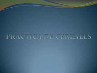 PRACTICA DE CEREALES,[object Object]