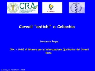 Cereali “antichi” e Celiachia Norberto Pogna CRA - Unità di Ricerca per la Valorizzazione Qualitativa dei Cereali Roma Ancona, 12 Novembre  2008 