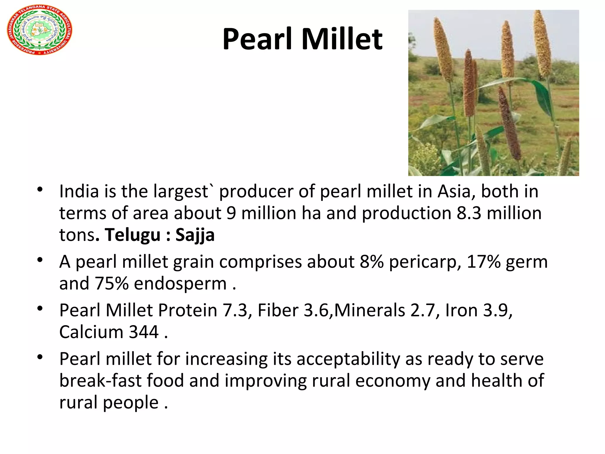 Pearl Millet
• India is the largest` producer of pearl millet in Asia, both in
terms of area about 9 million ha and production 8.3 million
tons. Telugu : Sajja
• A pearl millet grain comprises about 8% pericarp, 17% germ
and 75% endosperm .
• Pearl Millet Protein 7.3, Fiber 3.6,Minerals 2.7, Iron 3.9,
Calcium 344 .
• Pearl millet for increasing its acceptability as ready to serve
break-fast food and improving rural economy and health of
rural people .
 