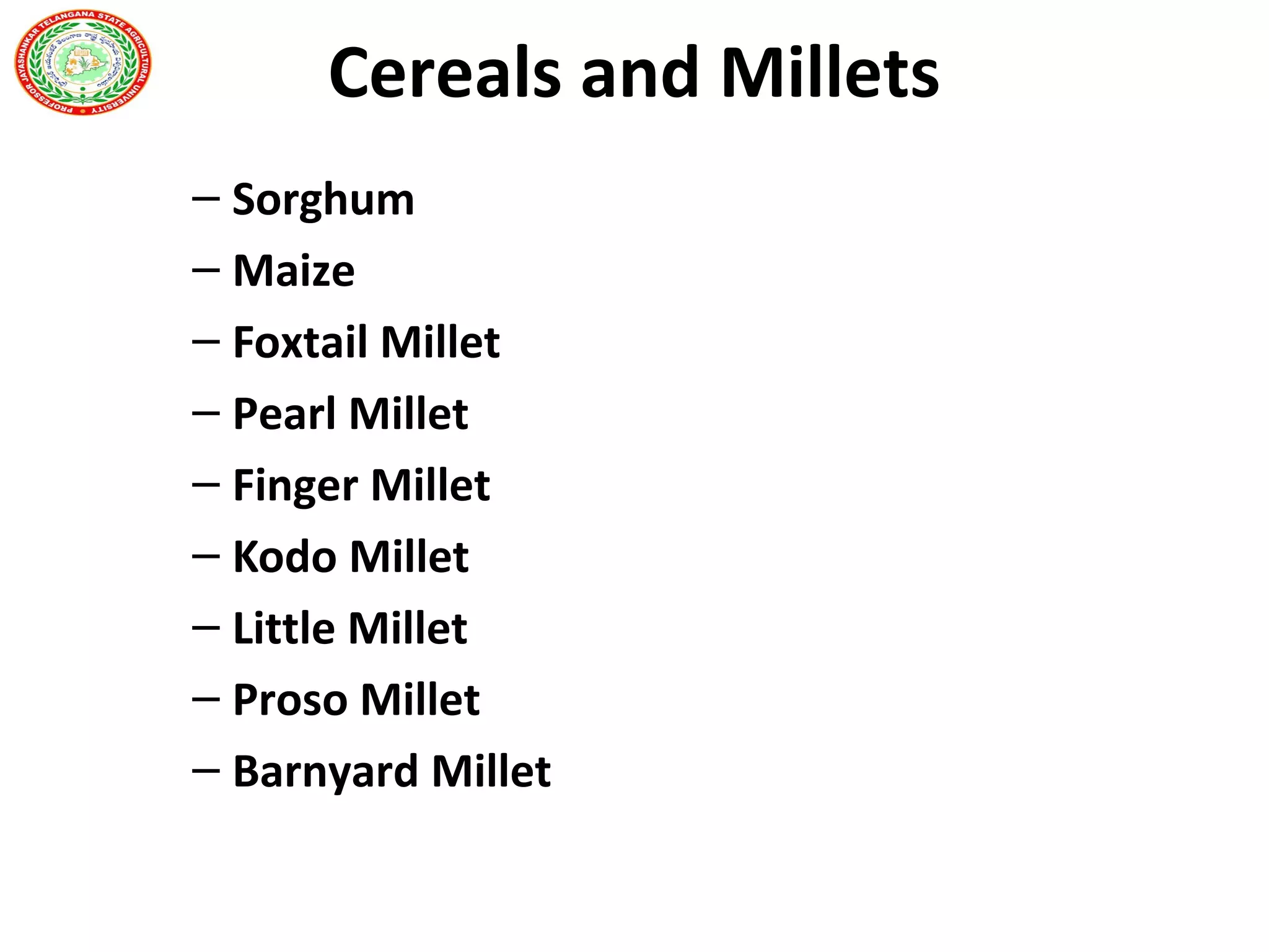 Cereals and Millets
– Sorghum
– Maize
– Foxtail Millet
– Pearl Millet
– Finger Millet
– Kodo Millet
– Little Millet
– Proso Millet
– Barnyard Millet
 