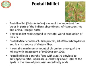 Foxtail Millet
• Foxtail millet (Setaria italica) is one of the important food
crops in parts of the Indian subcontinent, African countries
and China. Telugu : Korra
• Foxtail millet ranks second in the total world production of
millets.
• Foxtail Millet contains 9–14% protein, 70–80% carbohydrates
and is a rich source of dietary fiber.
• It contains maximum amount of chromium among all the
millets with an account of 0.030mg per 100g.
• Foxtail Millet is a starchy food with a 25:75 amylose to
amylopectin ratio. Lipids are 3-6%having about 50% of the
lipids in the form of polyunsaturated fatty acids
 
