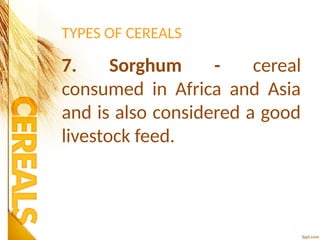 TYPES OF CEREALS
7. Sorghum - cereal
consumed in Africa and Asia
and is also considered a good
livestock feed.
 