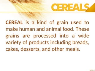 CEREAL is a kind of grain used to
make human and animal food. These
grains are processed into a wide
variety of products including breads,
cakes, desserts, and other meals.
 