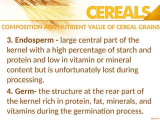 COMPOSITION AND NUTRIENT VALUE OF CEREAL GRAINS
3. Endosperm - large central part of the
kernel with a high percentage of starch and
protein and low in vitamin or mineral
content but is unfortunately lost during
processing.
4. Germ- the structure at the rear part of
the kernel rich in protein, fat, minerals, and
vitamins during the germination process.
 