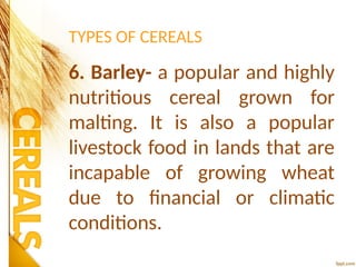 TYPES OF CEREALS
6. Barley- a popular and highly
nutritious cereal grown for
malting. It is also a popular
livestock food in lands that are
incapable of growing wheat
due to financial or climatic
conditions.
 