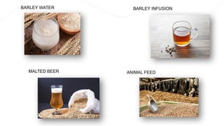 BARLEY WATER
MALTED BEER
BARLEY INFUSION
ANIMAL FEED
 