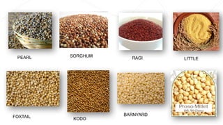 SORGHUM RAGI
PEARL
FOXTAIL KODO
BARNYARD
LITTLE
 