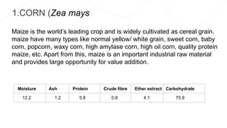 1.CORN (Zea mays)
Maize is the world’s leading crop and is widely cultivated as cereal grain.
maize have many types like normal yellow/ white grain, sweet corn, baby
corn, popcorn, waxy corn, high amylase corn, high oil corn, quality protein
maize, etc. Apart from this, maize is an important industrial raw material
and provides large opportunity for value addition.
Moisture Ash Protein Crude fibre Ether extract Carbohydrate
12.2 1.2 5.8 0.8 4.1 75.9
 