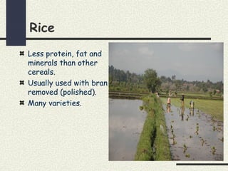 Rice
Less protein, fat and
minerals than other
cereals.
Usually used with bran
removed (polished).
Many varieties.
 