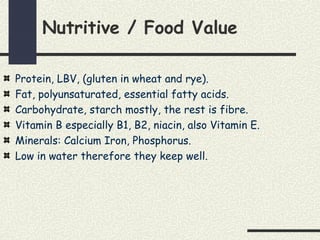 Nutritive / Food Value
Protein, LBV, (gluten in wheat and rye).
Fat, polyunsaturated, essential fatty acids.
Carbohydrate, starch mostly, the rest is fibre.
Vitamin B especially B1, B2, niacin, also Vitamin E.
Minerals: Calcium Iron, Phosphorus.
Low in water therefore they keep well.
 