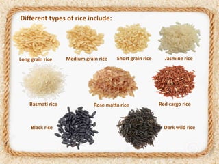 Cereals and its products packaging | PPTX
