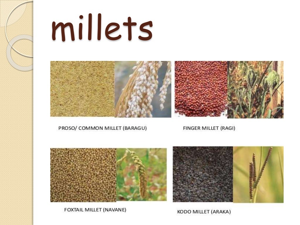 Cereals and millets