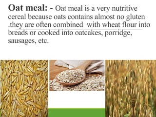 Oat meal: - Oat meal is a very nutritive
cereal because oats contains almost no gluten
.they are often combined with wheat flour into
breads or cooked into oatcakes, porridge,
sausages, etc.
 