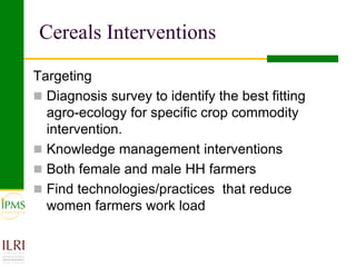 IPMS experience sharing workshop: Cereals group report