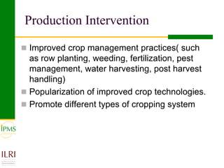 IPMS experience sharing workshop: Cereals group report