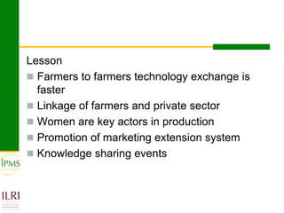 IPMS experience sharing workshop: Cereals group report