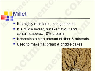 Millet
 It is highly nutritious , non glutinous
 It is mildly sweet, nut like flavour and
contains approx 15% protein
 It contains a high amount of fiber & minerals
 Used to make flat bread & griddle cakes
 