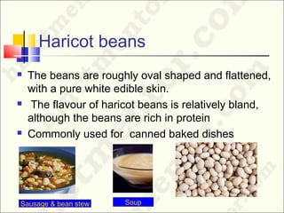 Haricot beans
 The beans are roughly oval shaped and flattened,
with a pure white edible skin.
 The flavour of haricot beans is relatively bland,
although the beans are rich in protein
 Commonly used for canned baked dishes
SoupSausage & bean stew
 