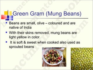 Green Gram (Mung Beans)
 Beans are small, olive – coloured and are
native of India
 With their skins removed, mung beans are
light yellow in color.
 It is soft & sweet when cooked also used as
sprouted beans
 