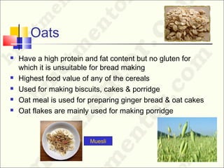Oats
 Have a high protein and fat content but no gluten for
which it is unsuitable for bread making
 Highest food value of any of the cereals
 Used for making biscuits, cakes & porridge
 Oat meal is used for preparing ginger bread & oat cakes
 Oat flakes are mainly used for making porridge
Muesli
 