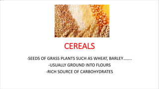 CEREALS
-SEEDS OF GRASS PLANTS SUCH AS WHEAT, BARLEY……..
-USUALLY GROUND INTO FLOURS
-RICH SOURCE OF CARBOHYDRATES
 