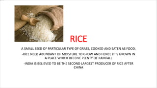 RICE
A SMALL SEED OF PARTICULAR TYPE OF GRASS, COOKED AND EATEN AS FOOD.
-RICE NEED ABUNDANT OF MOISTURE TO GROW AND HENCE IT IS GROWN IN
A PLACE WHICH RECEIVE PLENTY OF RAINFALL
-INDIA IS BELIEVED TO BE THE SECOND LARGEST PRODUCER OF RICE AFTER
CHINA
 