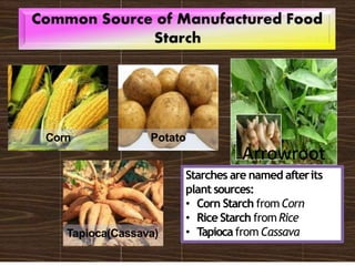 Cereals and starch | PPTX