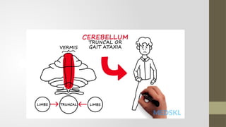 Comprehensive Overview of Cerebellum Anatomy, Function, and Clinical ...