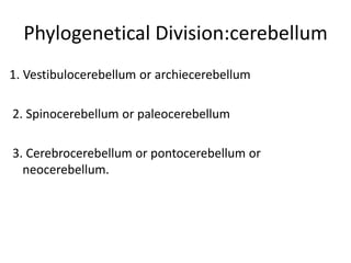 1. Vestibulocerebellum or archiecerebellum
2. Spinocerebellum or paleocerebellum
3. Cerebrocerebellum or pontocerebellum or
neocerebellum.
Phylogenetical Division:cerebellum
 