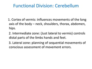 1. Cortex of vermis: influences movements of the long
axis of the body – neck, shoulders, thorax, abdomen,
hips.
2. Intermediate zone: (Just lateral to vermis) controls
distal parts of the limbs hands and feet.
3. Lateral zone: planning of sequential movements of
conscious assessment of movement errors.
Functional Division: Cerebellum
 