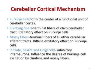 Cerebellar Cortical Mechanism
• Purkinje cells form the center of a functional unit of
cerebellar cortex.
• Climbing fibers-terminal fibers of olivo-cerebellar
tract. Excitatory effect on Purkinje cells.
• Mossy fibers-terminal fibers of all other cerebellar
afferent tracts. Diffuse excitatory effect on Purkinje
cells.
• Stellate, basket and Golgi cells- inhibitory
interneurons. Influence the degree of Purkinje cell
excitation by climbing and mossy fibers.
21
 