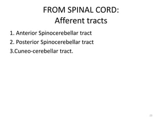 FROM SPINAL CORD:
Afferent tracts
1. Anterior Spinocerebellar tract
2. Posterior Spinocerebellar tract
3.Cuneo-cerebellar tract.
23
 