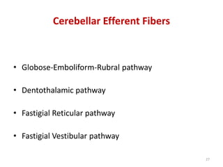 Cerebellar Efferent Fibers
• Globose-Emboliform-Rubral pathway
• Dentothalamic pathway
• Fastigial Reticular pathway
• Fastigial Vestibular pathway
27
 