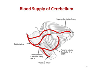 Blood Supply of Cerebellum
32
 