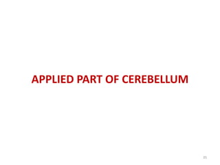 APPLIED PART OF CEREBELLUM
35
 