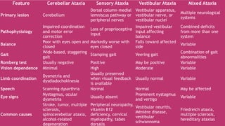 Feature Cerebellar Ataxia Sensory Ataxia Vestibular Ataxia Mixed Ataxia
Primary lesion Cerebellum
Dorsal column–medial
lemniscus pathway or
peripheral nerves
Vestibular apparatus,
vestibular nerve, or
vestibular nuclei
Multiple neurological
systems
Pathophysiology
Impaired coordination
and motor error
correction
Loss of proprioceptive
input
Impaired vestibular
input affecting
balance
Combined deficits
from more than one
system
Balance
Poor with eyes open and
closed
Markedly worse with
eyes closed
Falls toward affected
side
Variable
Gait
Wide-based, staggering
gait
Stamping gait Veering gait
Combination of gait
abnormalities
Romberg test Usually negative Positive May be positive Variable
Vision dependence Minimal High Moderate Variable
Limb coordination
Dysmetria and
dysdiadochokinesia
Usually preserved
when visual feedback
is available
Usually normal Variable
Speech Scanning dysarthria Normal Normal May be affected
Eye signs
Nystagmus, ocular
dysmetria
Usually absent
Prominent nystagmus
and vertigo
Variable
Common causes
Stroke, tumor, multiple
sclerosis,
spinocerebellar ataxia,
alcohol-related
degeneration
Peripheral neuropathy,
vitamin B12
deficiency, cervical
myelopathy, tabes
dorsalis
Vestibular neuritis,
Ménière disease,
vestibular
schwannoma
Friedreich ataxia,
multiple sclerosis,
hereditary ataxias
 