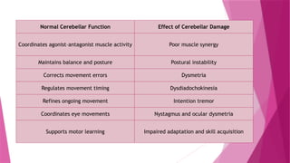 Normal Cerebellar Function Effect of Cerebellar Damage
Coordinates agonist–antagonist muscle activity Poor muscle synergy
Maintains balance and posture Postural instability
Corrects movement errors Dysmetria
Regulates movement timing Dysdiadochokinesia
Refines ongoing movement Intention tremor
Coordinates eye movements Nystagmus and ocular dysmetria
Supports motor learning Impaired adaptation and skill acquisition
 