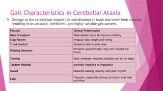Gait Characteristics in Cerebellar Ataxia
 Damage to the cerebellum impairs the coordination of trunk and lower-limb muscles,
resulting in an unstable, inefficient, and highly variable gait pattern.
Feature Clinical Presentation
Base of Support Wide-based stance to improve stability
Step Pattern Irregular step length and timing
Trunk Control Excessive side-to-side sway
Walking Direction
Deviates unpredictably; may veer toward the
lesion
Turning Slow, unsteady, requires multiple corrective steps
Tandem Walking Markedly impaired or impossible
Speed Reduced walking velocity with poor rhythm
Falls
Frequent, especially during turning or dual-task
activities
 