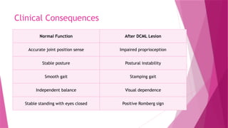 Clinical Consequences
Normal Function After DCML Lesion
Accurate joint position sense Impaired proprioception
Stable posture Postural instability
Smooth gait Stamping gait
Independent balance Visual dependence
Stable standing with eyes closed Positive Romberg sign
 