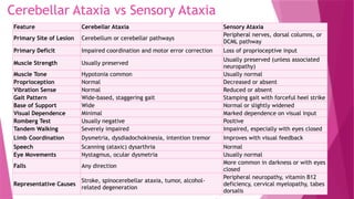 Cerebellar Ataxia vs Sensory Ataxia
Feature Cerebellar Ataxia Sensory Ataxia
Primary Site of Lesion Cerebellum or cerebellar pathways
Peripheral nerves, dorsal columns, or
DCML pathway
Primary Deficit Impaired coordination and motor error correction Loss of proprioceptive input
Muscle Strength Usually preserved
Usually preserved (unless associated
neuropathy)
Muscle Tone Hypotonia common Usually normal
Proprioception Normal Decreased or absent
Vibration Sense Normal Reduced or absent
Gait Pattern Wide-based, staggering gait Stamping gait with forceful heel strike
Base of Support Wide Normal or slightly widened
Visual Dependence Minimal Marked dependence on visual input
Romberg Test Usually negative Positive
Tandem Walking Severely impaired Impaired, especially with eyes closed
Limb Coordination Dysmetria, dysdiadochokinesia, intention tremor Improves with visual feedback
Speech Scanning (ataxic) dysarthria Normal
Eye Movements Nystagmus, ocular dysmetria Usually normal
Falls Any direction
More common in darkness or with eyes
closed
Representative Causes
Stroke, spinocerebellar ataxia, tumor, alcohol-
related degeneration
Peripheral neuropathy, vitamin B12
deficiency, cervical myelopathy, tabes
dorsalis
 
