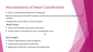 Neuroanatomy of Motor Coordination
 How is Coordinated Movement Produced?
Normal voluntary movement requires continuous interaction between multiple neural
systems.
Components of the Motor Control System
Motor Cortex
 Plans and initiates voluntary movement.
 Sends motor commands via the corticospinal tract.
⬇️
Basal Ganglia
 Selects appropriate motor programs.
 Suppresses unwanted movements.
 Regulates movement initiation and amplitude.
 