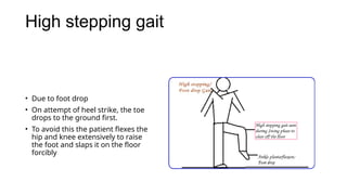 Comprehensive Cerebellar Examination and Gait Analysis in Neurological ...