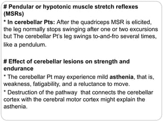 # Pendular or hypotonic muscle stretch reflexes
(MSRs)
* In cerebellar Pts: After the quadriceps MSR is elicited,
the leg normally stops swinging after one or two excursions
but The cerebellar Pt’s leg swings to-and-fro several times,
like a pendulum.
# Effect of cerebellar lesions on strength and
endurance
* The cerebellar Pt may experience mild asthenia, that is,
weakness, fatigability, and a reluctance to move.
* Destruction of the pathway that connects the cerebellar
cortex with the cerebral motor cortex might explain the
asthenia.
 