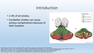 Cerebellar Stroke In Adults And Children – EOCRFT