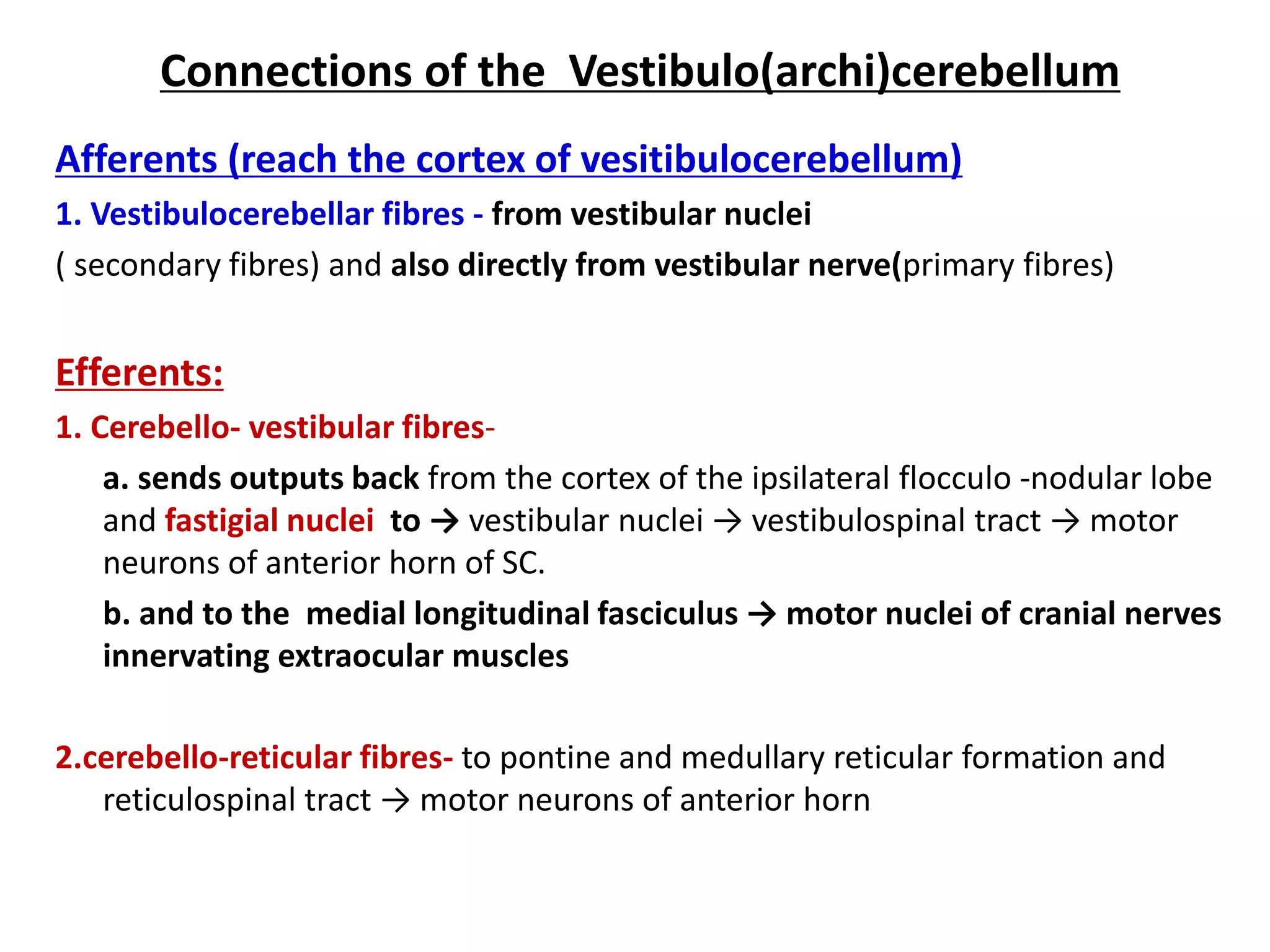 Connections of the Vestibulo(archi)cerebellum
Afferents (reach the cortex of vesitibulocerebellum)
1. Vestibulocerebellar fibres - from vestibular nuclei
( secondary fibres) and also directly from vestibular nerve(primary fibres)
Efferents:
1. Cerebello- vestibular fibres-
a. sends outputs back from the cortex of the ipsilateral flocculo -nodular lobe
and fastigial nuclei to → vestibular nuclei → vestibulospinal tract → motor
neurons of anterior horn of SC.
b. and to the medial longitudinal fasciculus → motor nuclei of cranial nerves
innervating extraocular muscles
2.cerebello-reticular fibres- to pontine and medullary reticular formation and
reticulospinal tract → motor neurons of anterior horn
 
