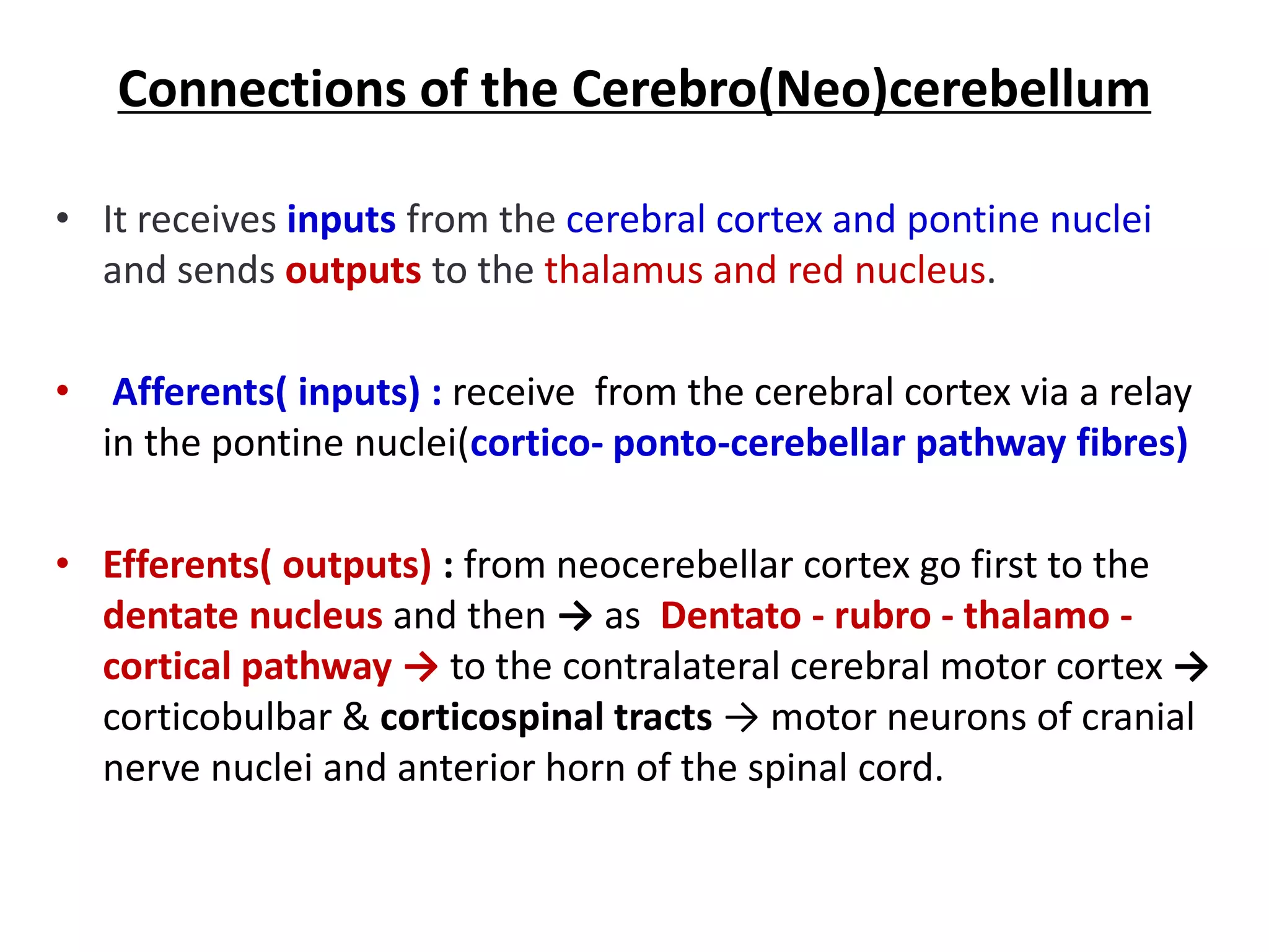 Connections of the Cerebro(Neo)cerebellum
• It receives inputs from the cerebral cortex and pontine nuclei
and sends outputs to the thalamus and red nucleus.
• Afferents( inputs) : receive from the cerebral cortex via a relay
in the pontine nuclei(cortico- ponto-cerebellar pathway fibres)
• Efferents( outputs) : from neocerebellar cortex go first to the
dentate nucleus and then → as Dentato - rubro - thalamo -
cortical pathway → to the contralateral cerebral motor cortex →
corticobulbar & corticospinal tracts → motor neurons of cranial
nerve nuclei and anterior horn of the spinal cord.
 
