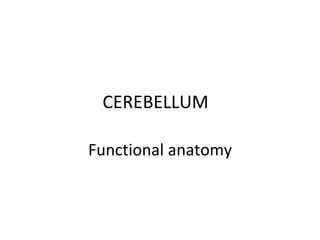 CEREBELLUM

Functional anatomy
 