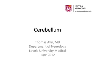 Cerebellum

    Thomas Ahn, MD
Department of Neurology
Loyola University Medical
       June 2012
 