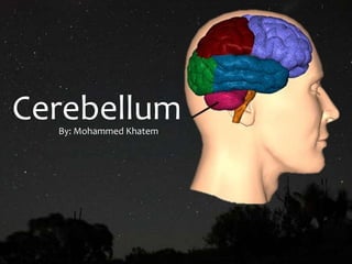 CerebellumBy: Mohammed Khatem
 