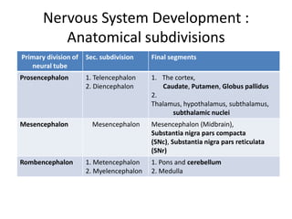 Nervous System Development :
Anatomical subdivisions
Primary division of
neural tube

Sec. subdivision

Final segments

Prosencephalon

1. Telencephalon
2. Diencephalon

1. The cortex,
Caudate, Putamen, Globus pallidus
2.
Thalamus, hypothalamus, subthalamus,
subthalamic nuclei

Mesencephalon

Rombencephalon

Mesencephalon

1. Metencephalon
2. Myelencephalon

Mesencephalon (Midbrain),
Substantia nigra pars compacta
(SNc), Substantia nigra pars reticulata
(SNr)
1. Pons and cerebellum
2. Medulla

 